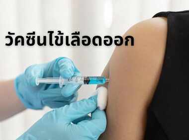 รู้จักวัคซีนไข้เลือดออกชนิดใหม่ที่เพิ่งใช้ในไทย ปลอดภัย ประสิทธิภาพสูง